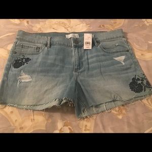 Ann Taylor Loft cut off shorts (size 8) New w/tags